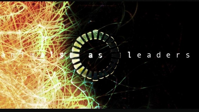 养龟每天拉屎就得换水很麻烦，怎么操作能省点事?